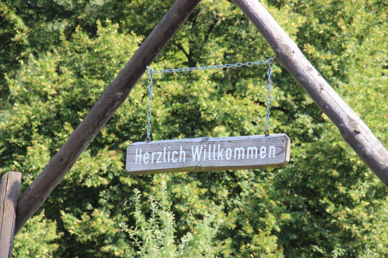 Haus Hirtenbergblick Lonau Luaran gambar
