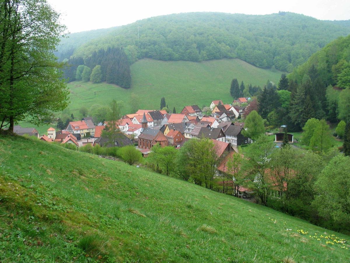 Haus Hirtenbergblick Lonau Luaran gambar